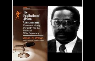 Dr. Amos Wilson, Falsification of Afrikan Consciousness Introduction – RAM Book club