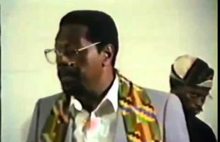 Dr. Amos Wilson Falsification of Afrikan Consciousness
