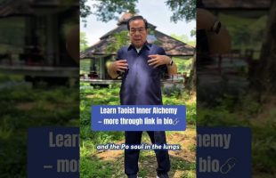 Taoist Inner Alchemy of organs — follow the cycle🙏🏻 #mantakchia