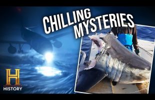 TOP 4 SHOCKING MYSTERIES OF 2024 | The UnXplained