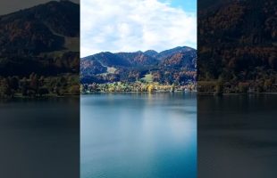 Start Your Morning with Calm Piano & Nature 🌿 | 4K #Short