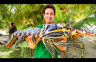 Eating Giant Rock Lobster!! Why This REMOTE ISLAND is Food Paradise!!