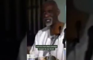 Dr. Sebi on the Importance of Iron