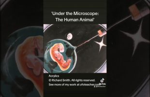 ‘Under the Microscope: The Human Animal’ Acrylics © Richard Smith. See my work at ufoteacher.com.