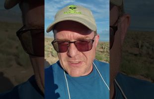 “Fade to Black” with Jimmy Church and “The Dog Days Interview” with Ital Iman. #Shorts #shortvideo