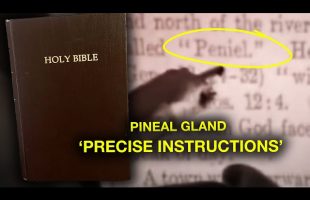 Biblical Texts Give Precise Instructions on the Pineal Gland…