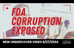 FDA CORRUPTION EXPOSED. New Undercover Video, 8.27.2024