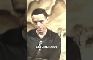 Alan Watts on pure awareness = as thought no longer interrupts, we feel our unity with the universe.