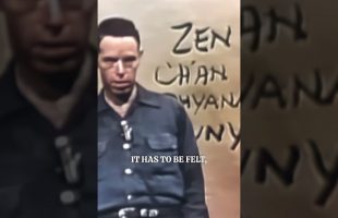 Alan Watts – Z-E-N – The Void