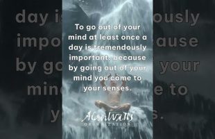 Alan Watts quote from his talk ‘Meditation’ in the Zen & Meditation audio album. www.alanwatts.com