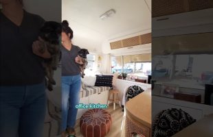 Her Stunning Renovated Tiny House #shorts
