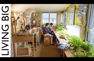 A Low-Tech Aprtment Of The Future | Urban Biosphere Experiment 🌱