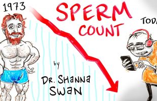 A Global Fertility Crisis – Dr. Shanna Swan