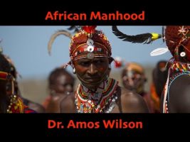 African Manhood (Dr. Amos Wilson / Goodie Mob Visualizer)