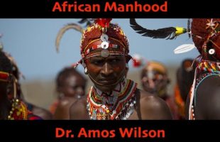 African Manhood (Dr. Amos Wilson / Goodie Mob Visualizer)