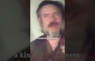 Alan Watts – All is Wave