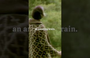 Alan Watts – An Amazing Brain