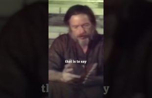 Alan Watts Basic Contrast