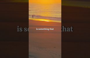 Alan Watts – Man and Nature #alanwattsquotes #alanwatts #motivation play.alanwatts.org