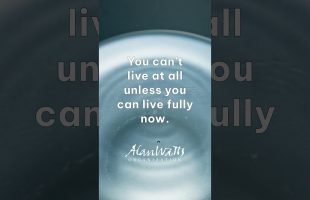 Alan Watts – Quote: Live Fully Now