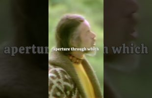 Alan Watts – Vortex