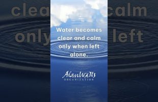 Alan Watts quote from ‘Zen & Meditation: Art of Meditation’ #alanwattsquotes #alanwattswisdom