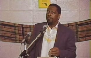 Amos N  Wilson   Awakening the Natural Genius of Black Children