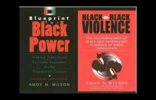 Amos N. Wilson | Africans in the New World Order