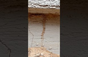 Best Builder for Crooked Wall Nail Pop Finish