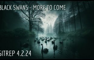 Black Swans – More to Come. SITREP 4.2.24