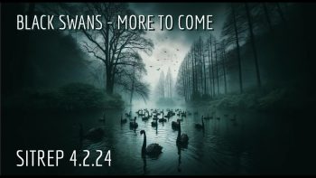 Black Swans – More to Come. SITREP 4.2.24