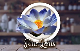 Blue Lotus – Relaxation, Lucid Dreaming, Aphrodisiac
