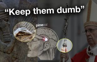 “CALCIFY THEM!”  (this is quite scary)