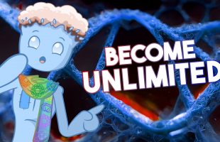 CODE12: Activate Your 12 Stranded DNA