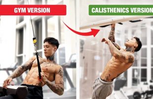 Can Gym Exercises IMPROVE Your Calisthenics?!