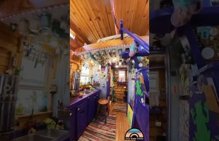 Could You Live in this Tiny Home?