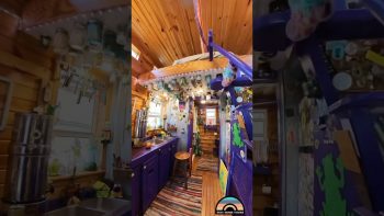 Could You Live in this Tiny Home?