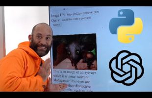 DIY: Computer Vision Web App with OpenAI API for Online Images (Python, Bottle, OpenAI)
