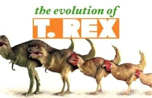Dinosaurs Didn’t Exist