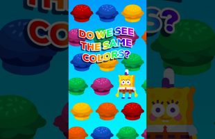 Do We See the Same Colors?