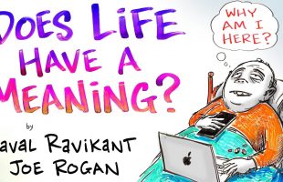 Does Life Have a Meaning? – Naval Ravikant & Joe Rogan