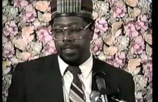 Dr. Amos N. Wilson – Feel Good History