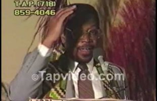 Dr. Amos Wilson – Blueprint For Black Power check1
