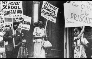 Dr. Amos Wilson Intelligence & Problem Solving Pt.2