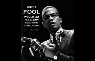 Dr. Amos Wilson Intelligence & Problem Solving