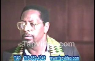 Dr. Amos Wilson – The Importance Of Analyzing and Learning From African History check1