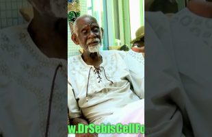 Dr. Sebi Tells Us Why We didn’t Need a Nutritionist