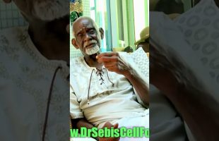 Dr. Sebi talks about the Foundation of Life