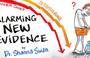 Endocrine Disruptors – Common Chemicals That Severely Alter Your Hormones – Dr. Shanna Swan