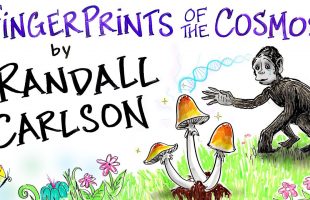 FINGERPRINTS of the COSMOS – Randall Carlson – A Fireside Talk